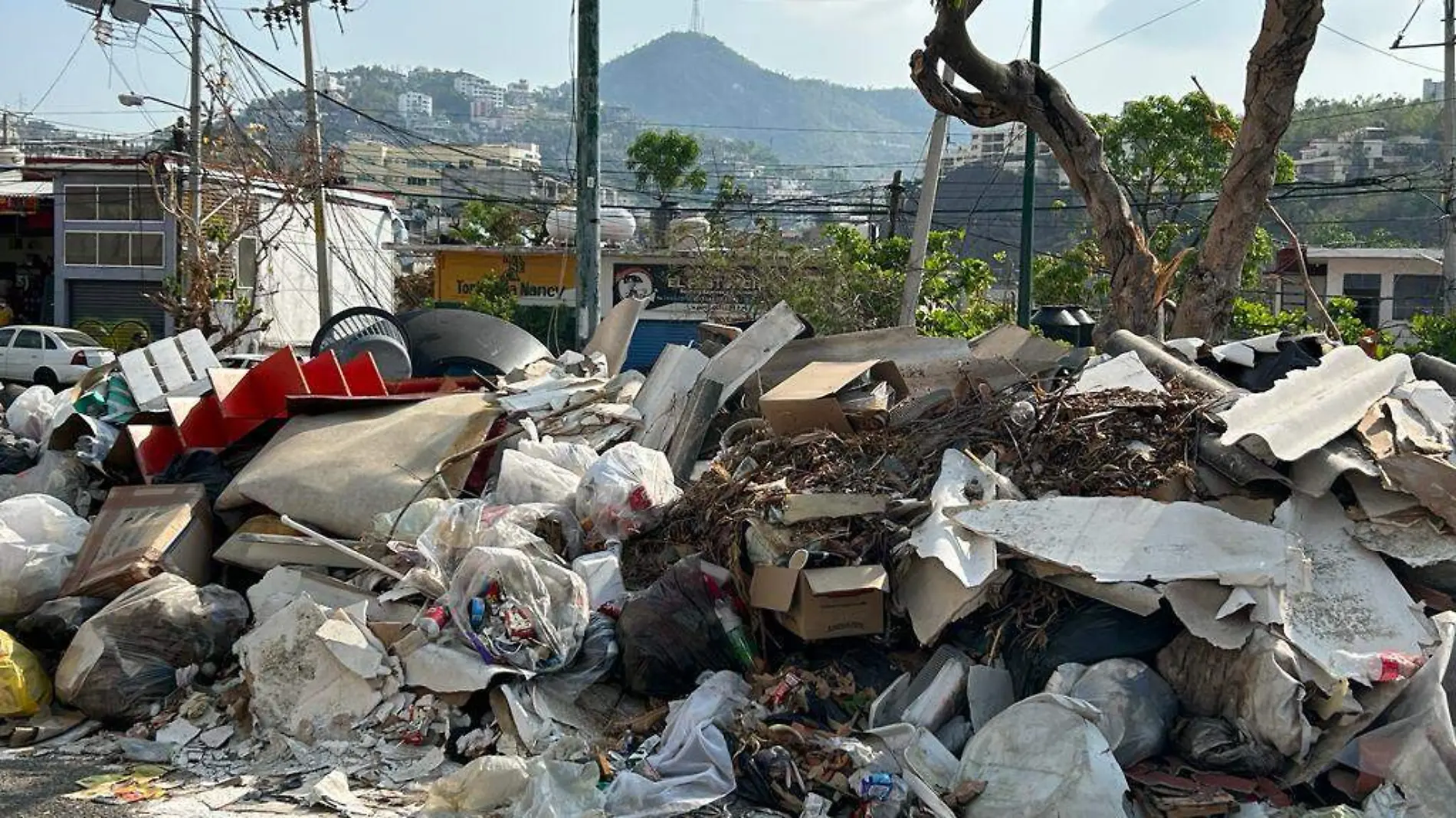 Basura garita